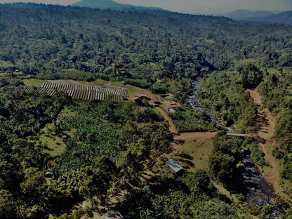 BENSA DAMO - ETHIOPIA